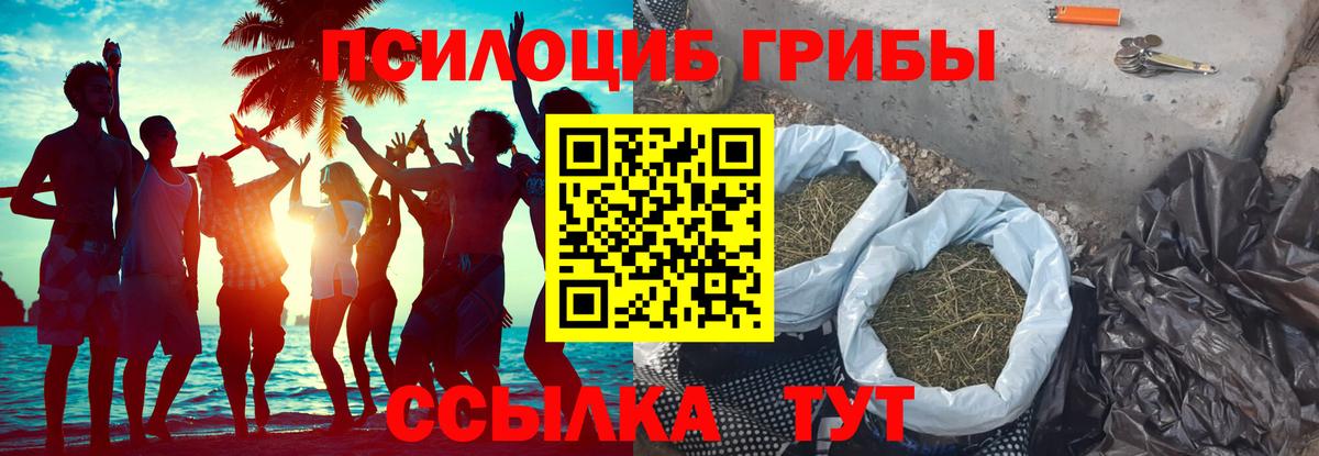 Псилоцибиновые грибы GOLDEN TEACHER Советск
